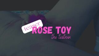 Teaser Rose Toy Testrun SC-style