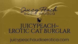JuicyPeach~Erotic Cat Burglar: She's only here for your pleasure.